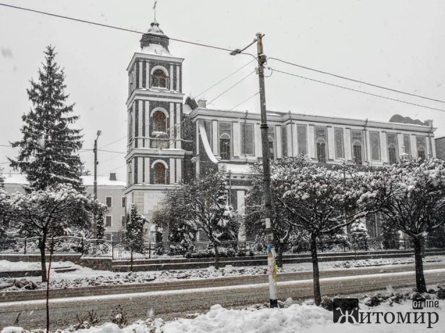 Ностальгія за сніжною зимою в Житомирі. ФОТО
