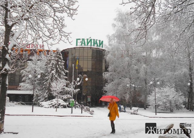 Ностальгія за сніжною зимою в Житомирі. ФОТО