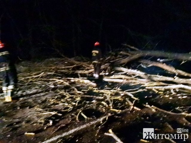 У селі на Житомирщині рятувальники витягували з багнюки "швидку" та вантажівку. ФОТО