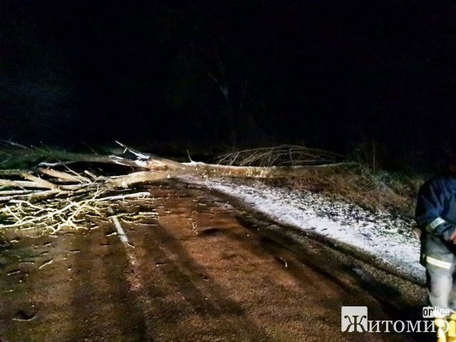 У селі на Житомирщині рятувальники витягували з багнюки "швидку" та вантажівку. ФОТО