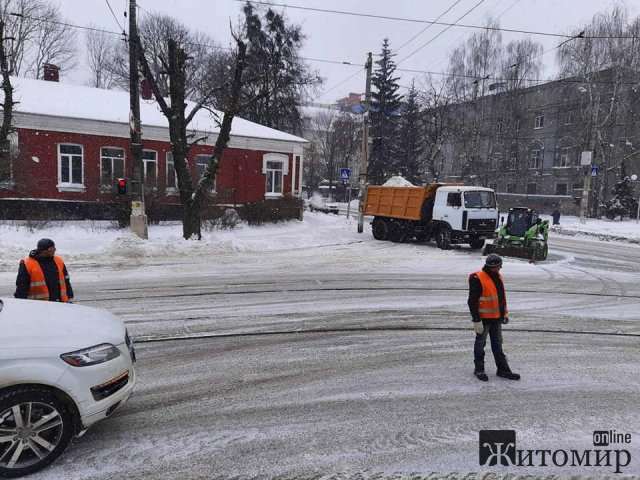 Наскільки чистими від снігу стали в Житомирі тротуари. ФОТО