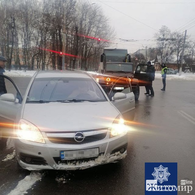 У Житомирі водійка, аби не наїхати на пса, вискочила на  проїжджу частину. ФОТО