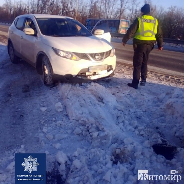 У Житомирі водійка, аби не наїхати на пса, вискочила на  проїжджу частину. ФОТО