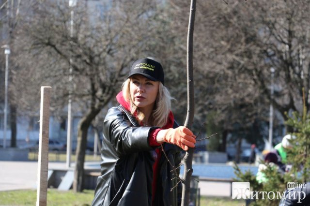 1000 нових дерев у Житомирі: естафета #Дереводня переходить Миколаєву та Дніпру. ФОТО