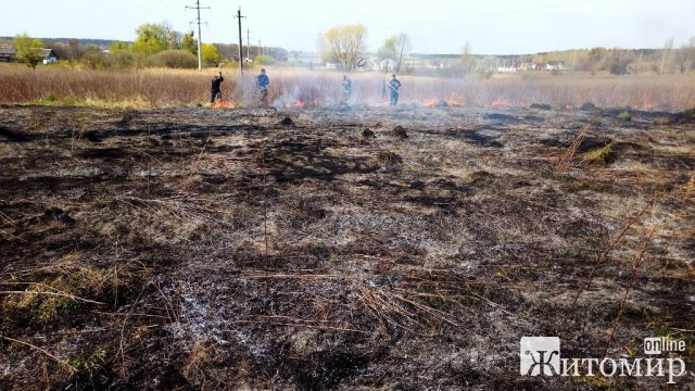У Житомирському районі горіла суха трава: селяни побачили густий дім та сповістили рятувальників. ФОТО