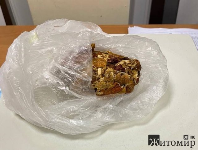 Прикордонники затримали жителя Житомирщини, який їхав на заробітки та віз марихуану й галюциногенні гриби. ФОТО