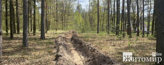 На Житомирщині лісівники відмежували лісові масиви від населених пунктів мінералізованими смугами. ФОТО