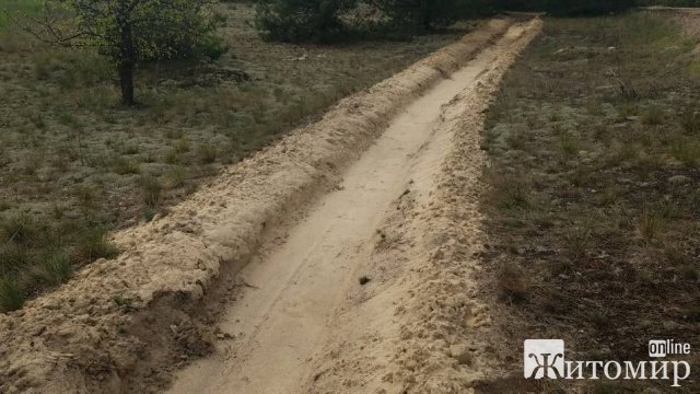 На Житомирщині лісівники відмежували лісові масиви від населених пунктів мінералізованими смугами. ФОТО