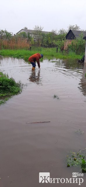 У Бердичеві рятувальники відкачували воду, а в Житомирі прибирали дерево, яке впало на дорогу. ФОТО
