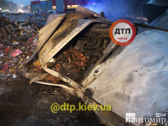 Страшное ДТП на житомирской трассе: водитель и пассажир Volkswagen сгорели заживо. ФОТО