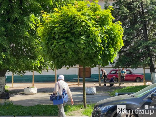У Житомирі починають ремонтувати будівлю гімназії №23?