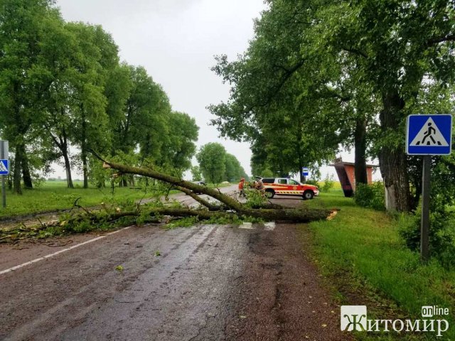 Минулої доби рятувальники відкачували воду в Житомирі та прибирали повалене дерево на дорозі в одному з сіл області. ФОТО