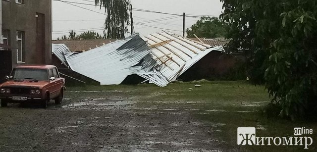Негода у Житомирській області поламала городину та дерева. ФОТО
