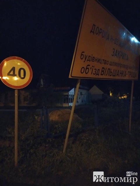 Негода у Житомирській області поламала городину та дерева. ФОТО