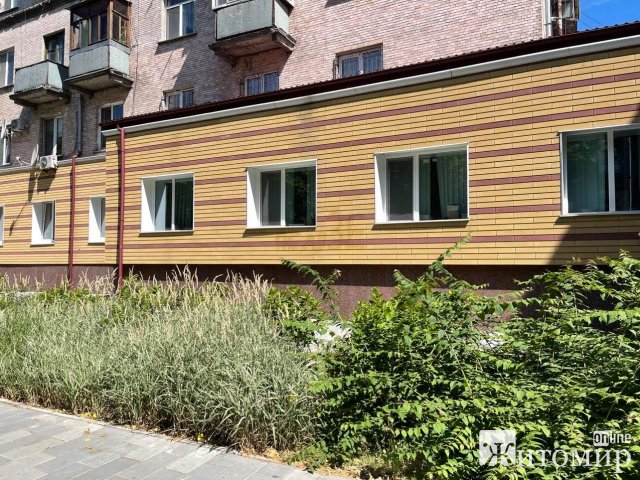Біля департаменту освіти Житомирської міськради скоро завиють вовки. ФОТО