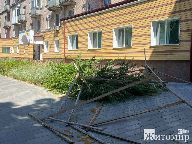 Біля департаменту освіти Житомирської міськради скоро завиють вовки. ФОТО