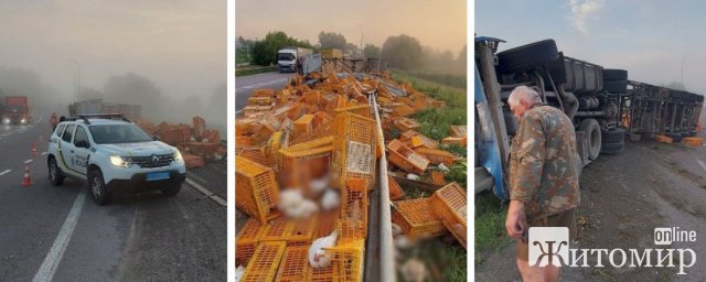 На Рівненщині перекинулась вантажівка з птицею, частина курей загинула: за кермом був водій з Житомирщини. ФОТО