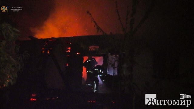 У селі на Житомирщині горів будинок: рятувальники винесли з вогню господаря, але чоловік помер. ФОТО
