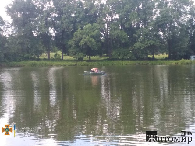 У селищі на Житомирщині рятувальники витягнули з водойми тіло потопельника. ФОТО