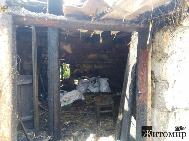 На Житомирщині діти підпалили сарай та подзвонили рятувальникам. ФОТО