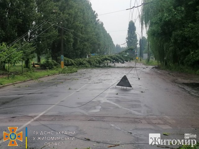 Рятувальники Житомирщини розповіли, що наробила негода в області. ФОТО