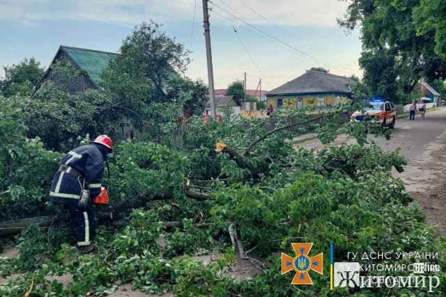 Рятувальники Житомирщини розповіли, що наробила негода в області. ФОТО