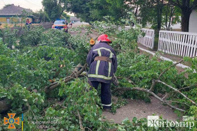 Рятувальники Житомирщини розповіли, що наробила негода в області. ФОТО
