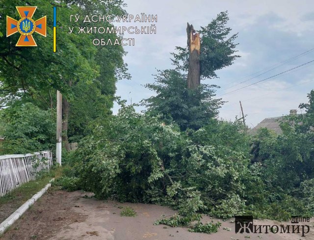 Рятувальники Житомирщини розповіли, що наробила негода в області. ФОТО