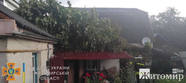 Рятувальники Житомирщини розповіли, що наробила негода в області. ФОТО