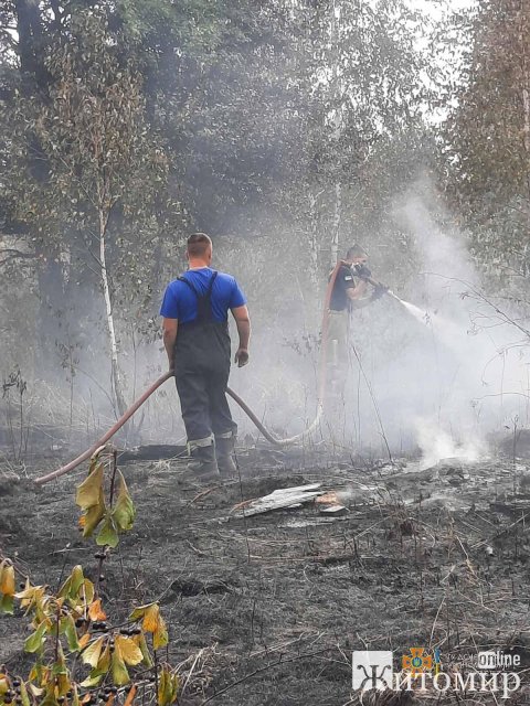 На Житомирщині селяни з рятувальниками гасили займання сухої рослинності. ФОТО