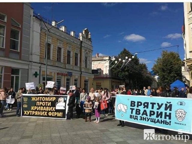 У Житомирі відбудеться "Всеукраїнський марш за тварин"