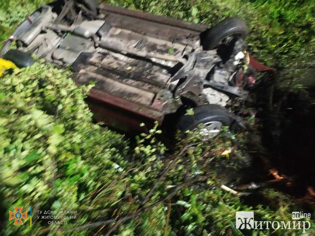 У Житомирському районі Mitsubishi злетів до меліоративного каналу, водія госпіталізували. ФОТО