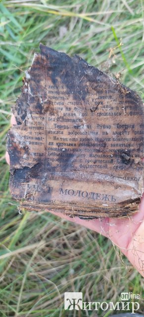 У Лугинському районі пошуківці знайшли рештки двох солдат. ФОТО