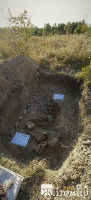 У Лугинському районі пошуківці знайшли рештки двох солдат. ФОТО