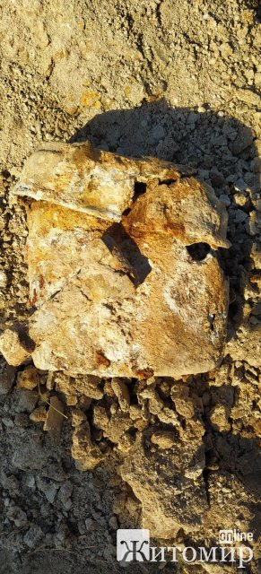 У Лугинському районі пошуківці знайшли рештки двох солдат. ФОТО