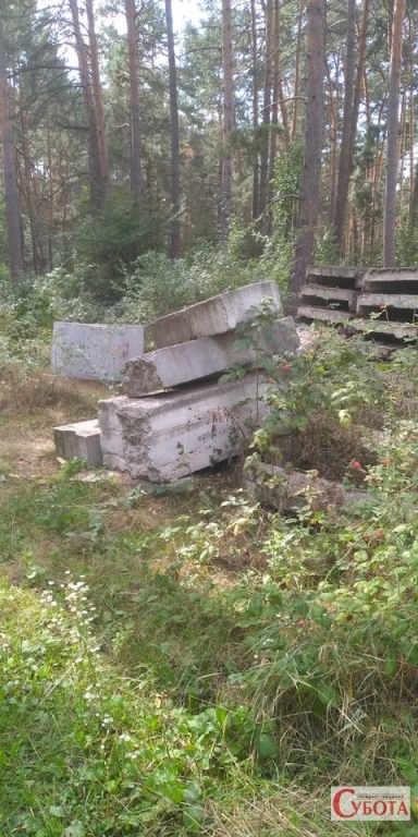 Была ли любовь в жизни житомирской святой матушки Рафаилы? Была ли любовь в жизни житомирской святой матушки Рафаилы?