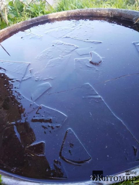 У мисці замерзла вода - ранковий мороз на Житомирщині. ФОТО