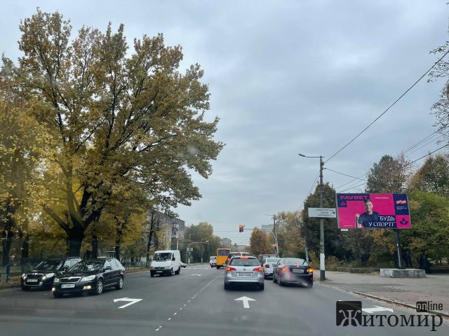 На Грушевського у Житомирі з