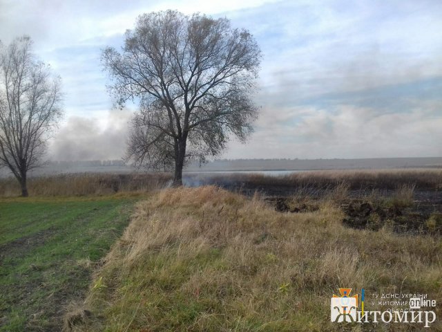 За добу рятувальники Житомирщини близько 20 разів виїжджали гасити займання сухої трави. ФОТО