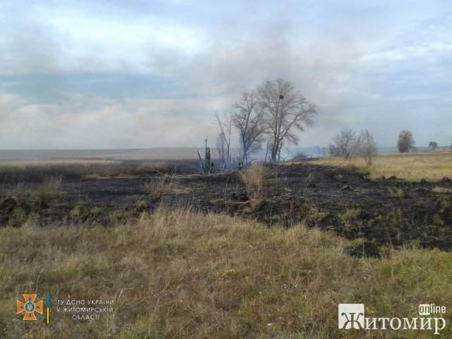 За добу рятувальники Житомирщини близько 20 разів виїжджали гасити займання сухої трави. ФОТО