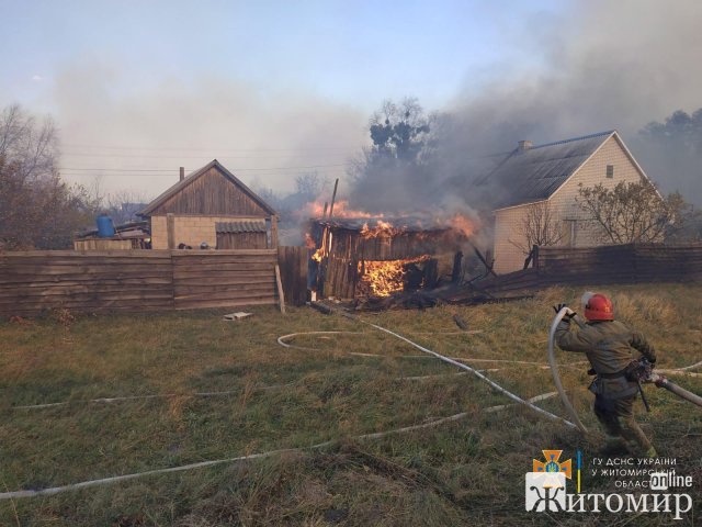 За добу в Житомирській області горів сухостій на загальній площі 57 га. ФОТО