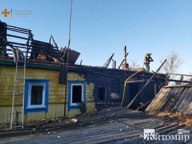 В Олевську на пожежі чоловік отруївся чадним газом, а в селі на Овруччині - отримав опіки. ФОТО