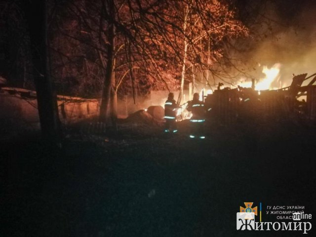 Неподалік школи у селі Житомирської області горіли дрова: рятувальники 8 разів підвозили воду. ФОТО