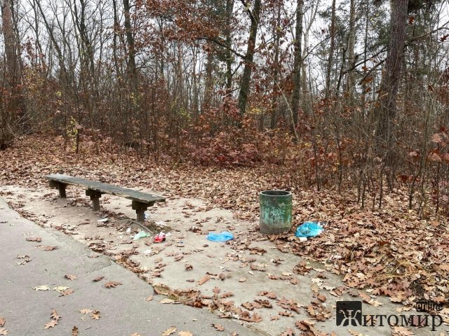 У житомирському гідропарку переповнені смітники. ФОТО