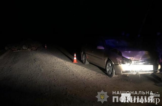 У селищі Баранівського району Opel врізався у гужову повозку: подружжя пенсіонерів забрали до лікарні. ФОТО