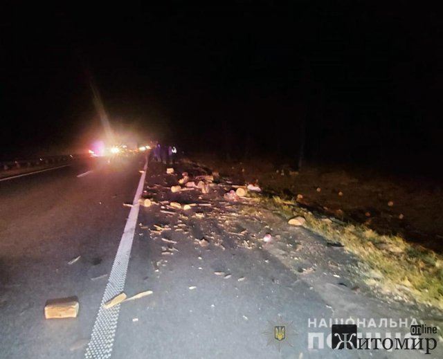 На трасі в Житомирські області вантажівка наїхала на гужу повозку, керманич воза загинув. ФОТО