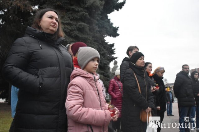 День Гідності та Свободи в Житомирі. ФОТО