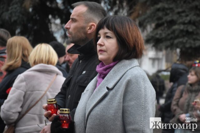 День Гідності та Свободи в Житомирі. ФОТО