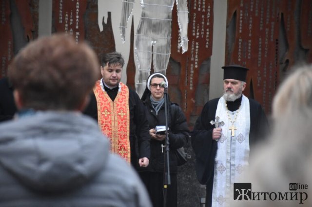 День Гідності та Свободи в Житомирі. ФОТО