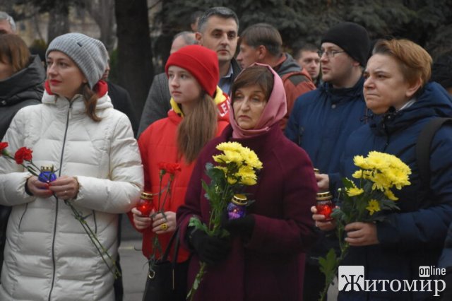 День Гідності та Свободи в Житомирі. ФОТО